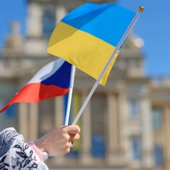 Чешские политики обсуждают украинский флаг