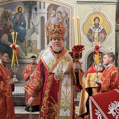 Архієпископ Зоря пояснив причину звільнення керівника