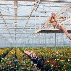 Тіна Кароль у теплиці