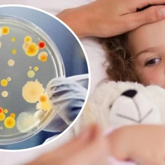 Отравление учеников и учителя в лицее