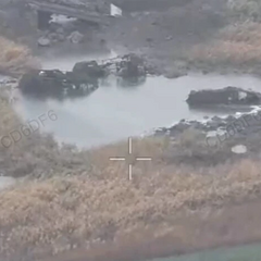 Бронемашини окупантів загрузли в болоті