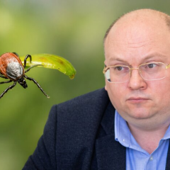 Lyme disease in Kyiv parks
