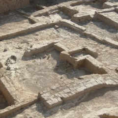 Изображение 6000-летнего скелета младенца с следами побоев