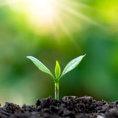 Earth will remain green for almost 1.9 billion years