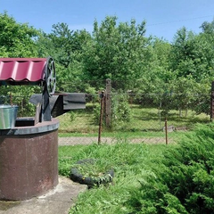 40°С температура води в криниці