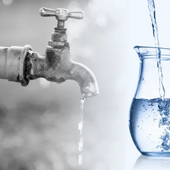 11 трун, розкидані у брудній воді