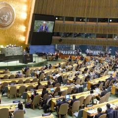 UN resolution on peace in Ukraine