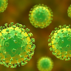 Зображення мозку з планом вірусів