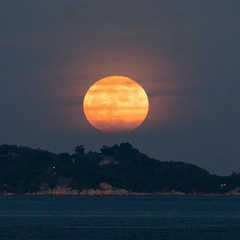 Sturgeon moon in the image