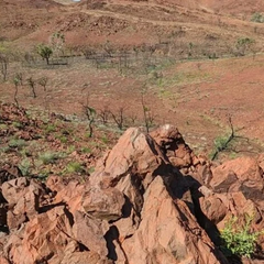 Следы метеорита перепишут историю Земли