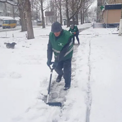 Снег засыпал Херсон (фото, видео)