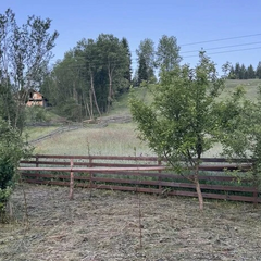 Температура в горах Буковини опустилася до нуля