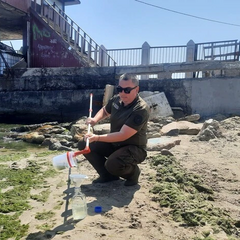 Екологи досліджують 'цвітіння' Чорного моря