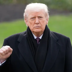 Трамп объявил перемирие между Украиной и Россией