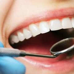 Вирощені зуби людини у лабораторії