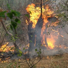 Диверсія у Запоріжжі: ліквідація російських офіцерів