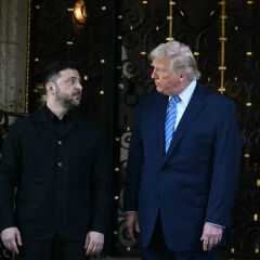 Трамп ведет переговоры с Зеленским и Путиным