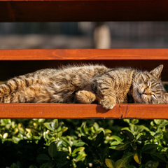 Похолодание на зоне страны