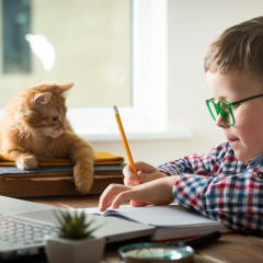 Инструкции для учеников и родителей