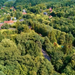 Громадський ліс у Польщі біля міста