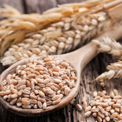 Відслідковування краденого зерна у Клайпеді