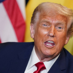 Трамп призвал Зеленского прекратить удары по российской дизельной инфраструктуре из-за глобального дефицита топлива