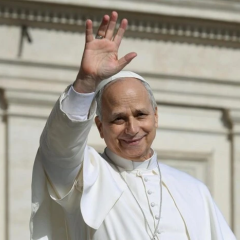 Pope Leo XIV called for an end to the fire in Ukraine
