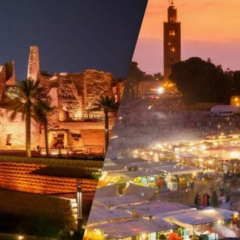 Saudi Arabia tops OECD tourism growth ranking