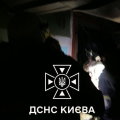 Как киевские спасатели вытащили раненого пса после гибели хозяйки ночью
