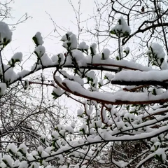 Снегом засыпало одну украинскую область