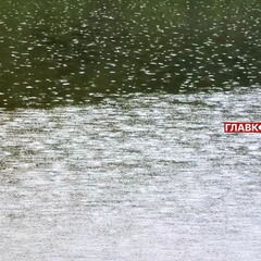 Грози та дощі: погода на 23 серпня