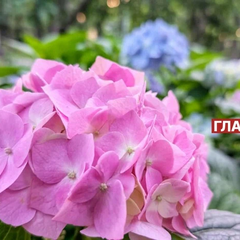 Синоптичка рассказывает когда вернется тепло