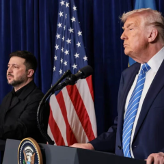 Трамп и Зеленский обсуждают мир