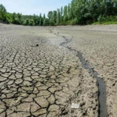 Рекордне обміління Дністра – проблема для водопостачання