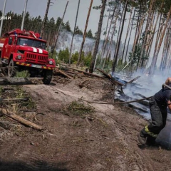 Пожежа в Чорнобильській зоні відчуження