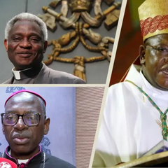 Негритос Болонським Папою: оцінки ватиканських кардиналів