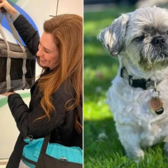 Американка клонувала собаку за $50 тис. і пояснила, чому пошкодувала про свій вчинок