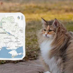 Жовтий рівень небезпеки в западних областях