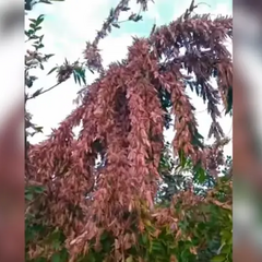 Изображение ужаса в Запорожской области