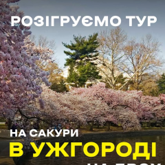 Travel to Uzhhorod and see sakuras