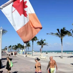 Продають нерухомість в Канаді і тікають із США