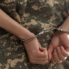 Лубінець про поширення злочинів у СЗЧ