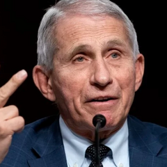 Колишній головний епідеміолог робить зізнання