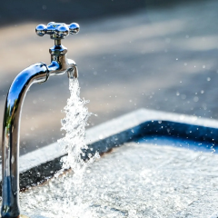 Plant nitrates and tap water