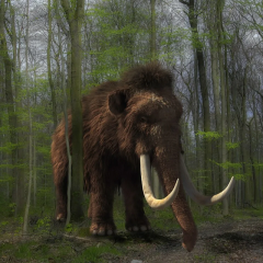 Mammoth bones found in Alaska