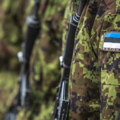 Пограничник на эстонской границе
