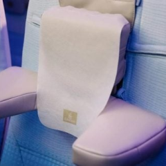 Emirates меняет правила игры: в экономклассе появились подголовники U-Dream