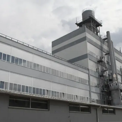 Приватизация Винницяпобутхим, принадлежал российскому олигарху