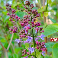 Прогноз погоди на 1 травня