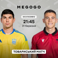 Флаги Украины и Албании на стадионе